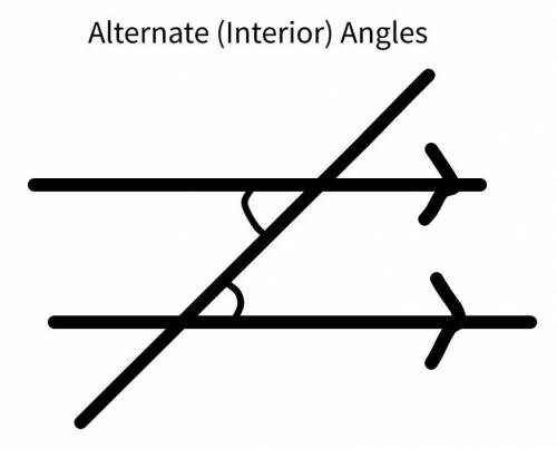 Below are two parallel lines with a third line intersecting￼ them