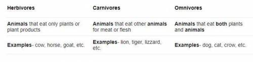 Give examples of herbivores,carnivores,and omnivores animals (Two)​
