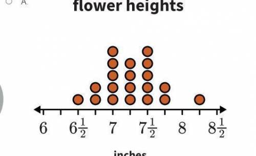 Janette measures the heights in inches of some of the flowers in her garden to see which ones are gr