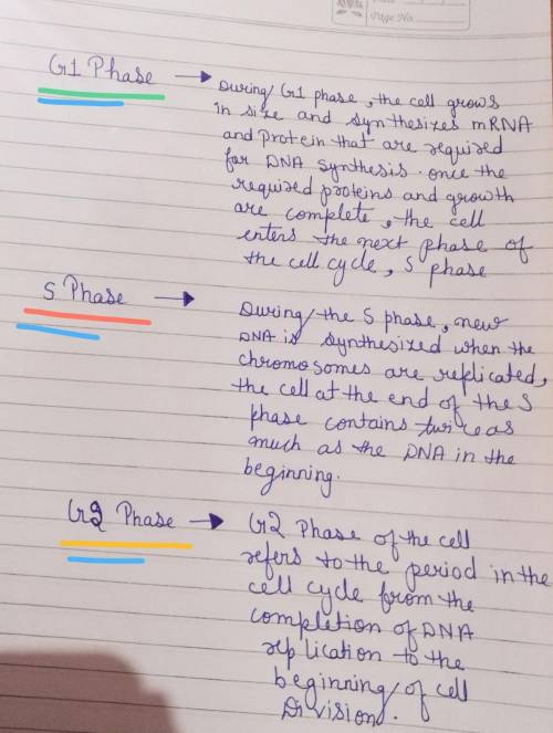 Describe what occurs in each phase of interphase

G1 Phase - 
S phase - 
G2 phase - 
( please do not