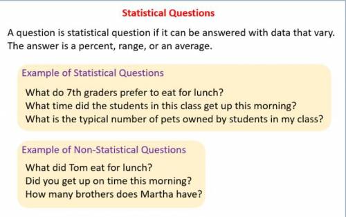 What the hell is a statistical question?