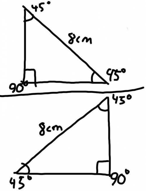 ANSWER QUICK PLEASE

Is there a different triangle Diego could have drawn that would answer the ques