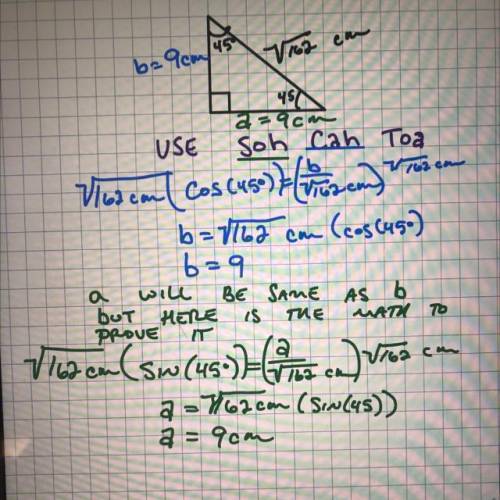 PLEASE SOMEONE HELP ME?? thank you!!

A 45°-45°-90° triangle has a hypotenuse that is 162–√ cm long.