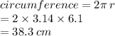 circumference = 2\pi \: r \\  = 2 \times 3.14 \times 6.1 \\  = 38.3 \: cm