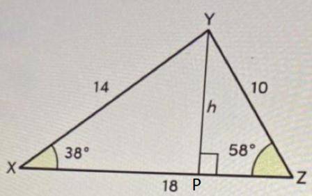 Which expressions correctly represent the area of the triangle XYZ?