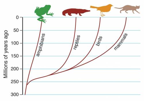 Look at the graph of different types of vertebrates. Which evidence would support the relationships