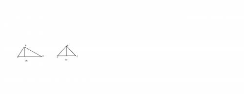 Max claims that a point on any line that is perpendicular to a segment is equidistant from a segment