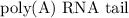 \text{poly(A) RNA tail}