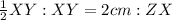 \frac{1}{2}XY : XY = 2cm : ZX