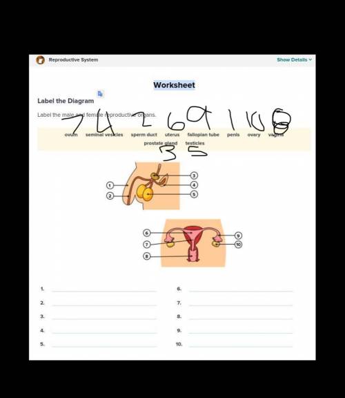 Reproductive system brain pop Worksheet
Help please?