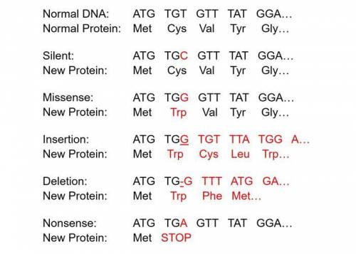 An mRNA sequence reads: GAA/GCU/AUA/CUA/UGU. What would the effect on the amino acid be if the secon