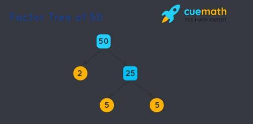 35 and 50 (make a chart, list all factors, and make factor tree)