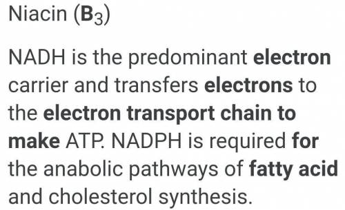 Name the Vitamin B that makes enzymes helps electron transport chain in fatty acids oxidation​