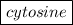 \boxed{ cytosine   }