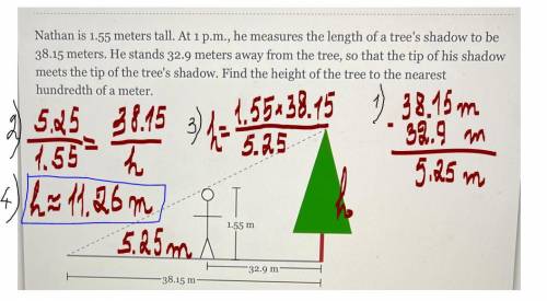 Nathan is 1.55 meters tall. At 1 p.m., he measures the length of a tree's shadow to be 38.15 meters.