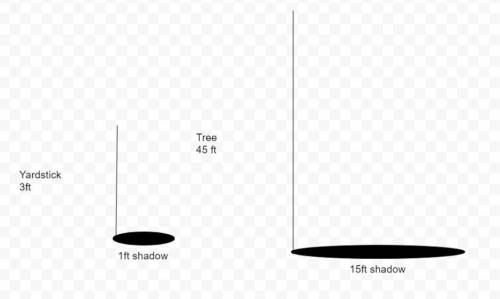 In sunlight, a vertical yardstick casts a 1 ft shadow at the same time that a nearby tree casts a 15