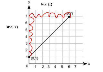 The graph shows the depth, y, in meters, of a shark from the surface of an ocean for a certain amoun