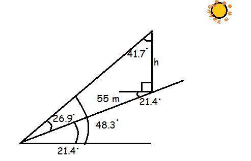 A vertical light pole on a hillside casts a

shadow of 55 m long down the hill. If the
angle of elev