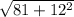 \sqrt{81+12^2}