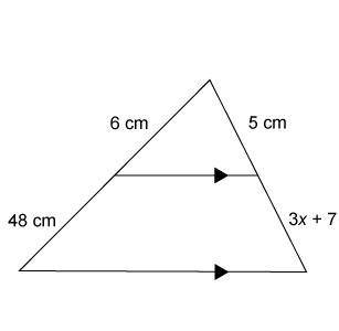 Plz, help 99pts What is the value of x?