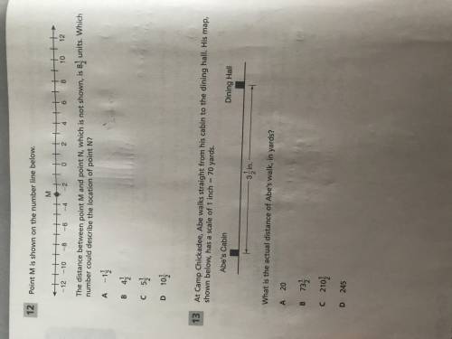 Can someone please answer this multiple choice questions numbers 2 , 12 and 13 please answer and ple