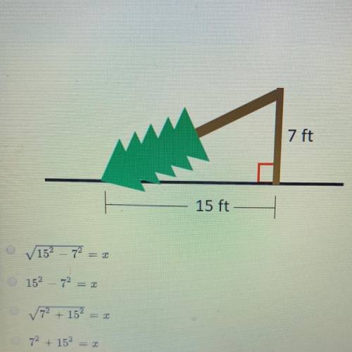 Pls help! will give brainlist! A pine tree was struck by lightning and fell as shown in the picture