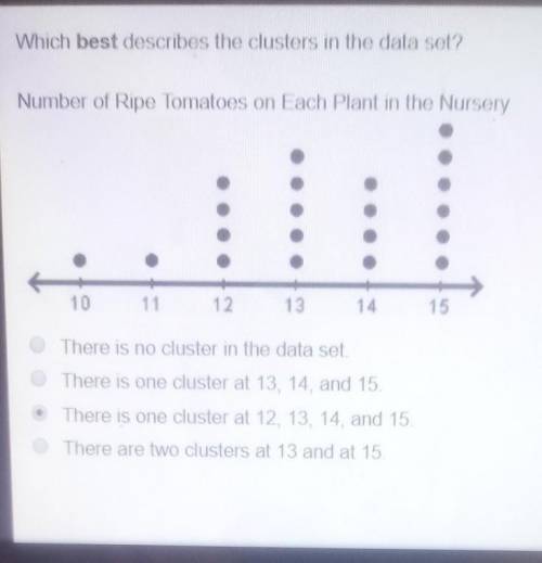 Which best describes the Clusters in the data set number of ripe tomatoes on each plant in the nurse