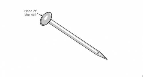 5. The head of a nail is circular, as shown. The head of this nail has a diameter of 6 millimeters.