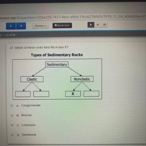 17. Which of these rocks best fits in box X? Types of Sedimentary Rocks Sedimentary Clastic Nonclast