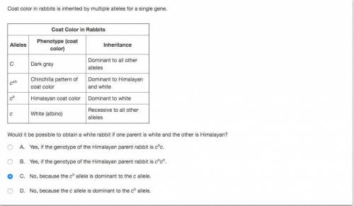 PLEASE HELP!!! *Note the answer is not C