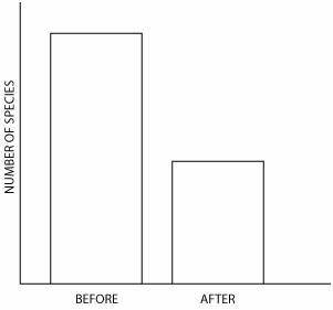 This graph best represents the populations of marine groups before and after the Question 12 options