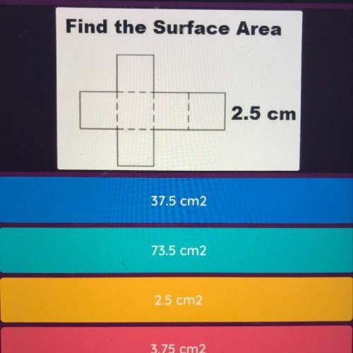 Find the Surface Area 2.5 cm