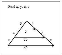 Solve the following problems.