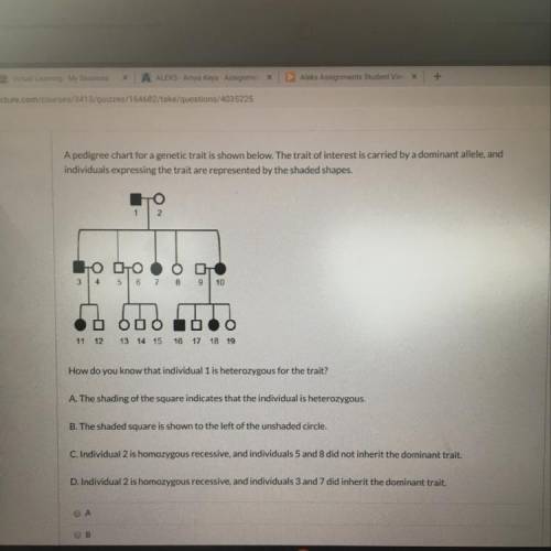 How do you know that individual 1 is heterozygous for the trait? A. The shading of the square indica