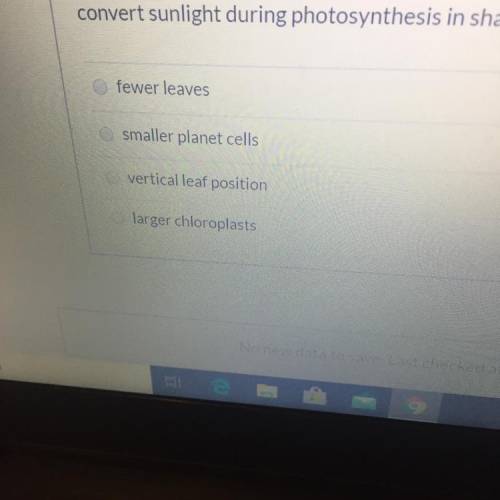 A group of students is comparing cells from plants that grow better in Sunlight to cells from plants