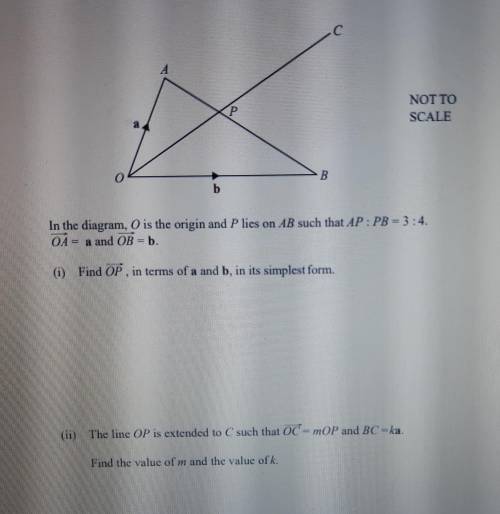 I need help with (ii). I will be very happy if someone is willing to help:)