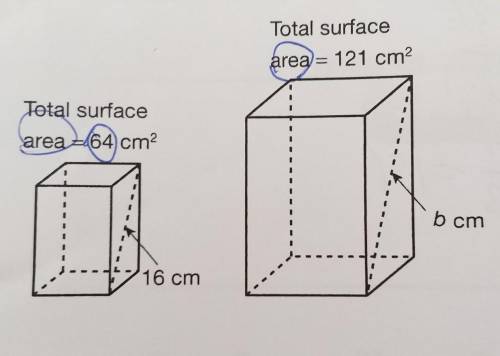 Find the unknown in each of the following pairs of similar solids.