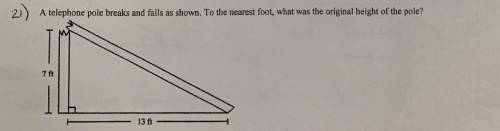 Find the original height of the tree, explain