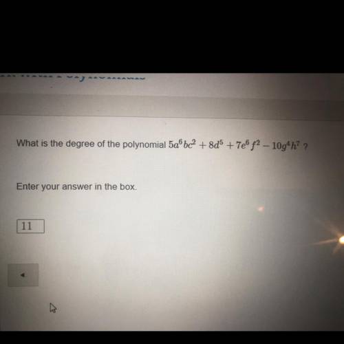 What is the degree of the polynomial?  Can someone please check my work?