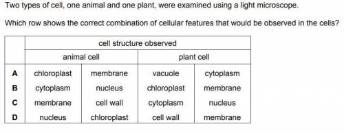 Two types of cell, one animal and one plant, were examined using a light microscope. Which row shows