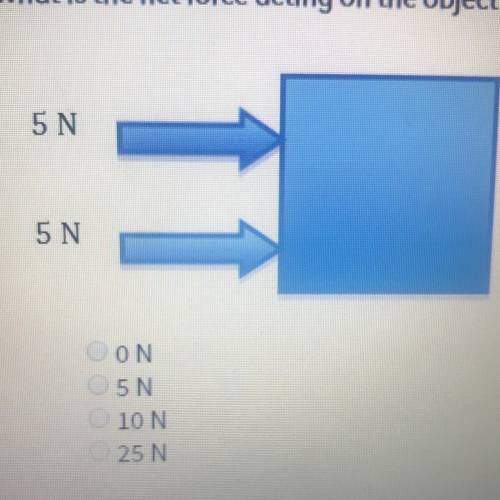 What is the net force acting on the object below