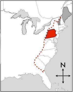 The map is showing the colony of ___. A) New York  B) North Carolina  C) Pennsylvania