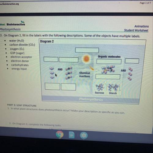 2. On Diagram 2, fill in the labels with the following descriptions. Some of the objects have multip