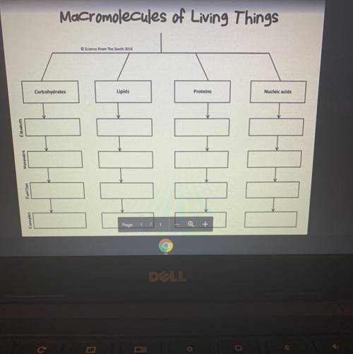 Macromolecules of Living Things Science From The South 2016 Carbohydrates Lipids Proteins Monomers F