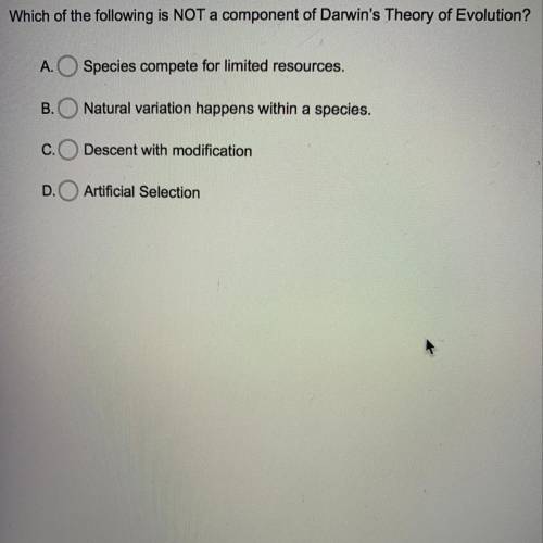 Which of the following is NOT a component of Darwin’s Theory of Evolution?