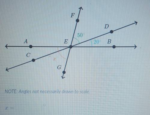 Please help what does x equal?