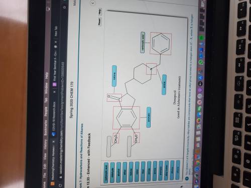 What is the correct label for the ones in the photo that are not answered? There is one that was not