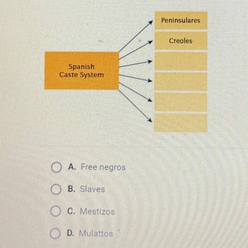 Look at the chart below which represents the Spanish caste system which term would fit in a sixth bo