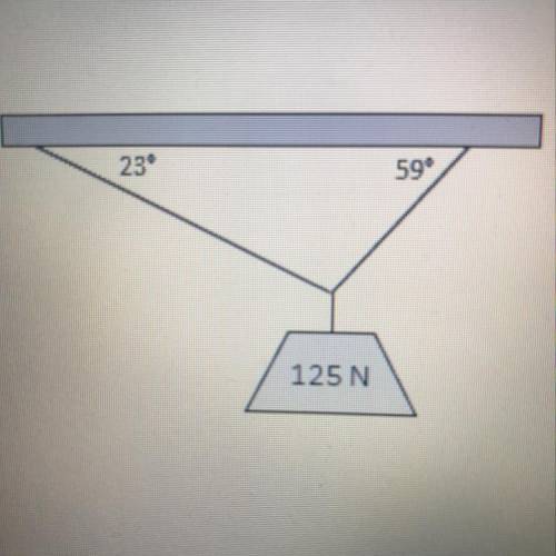 1. Calcula la tensión en ambas cuerdas dado el peso que cuelga de ellas. 125 N