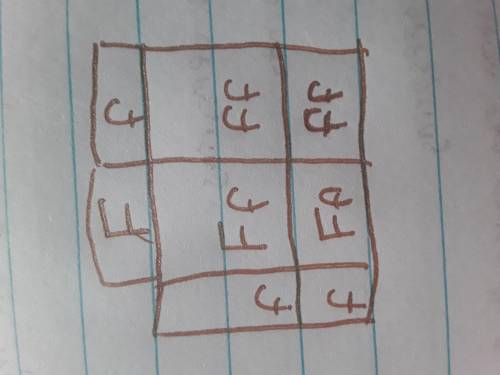 Please help!!  If you have a punnett square that has two Ff and two ff filled in, what is the probab